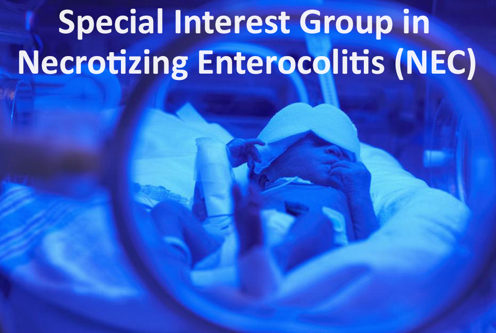 Special Interest Group in Necrotizing Enterocolitis